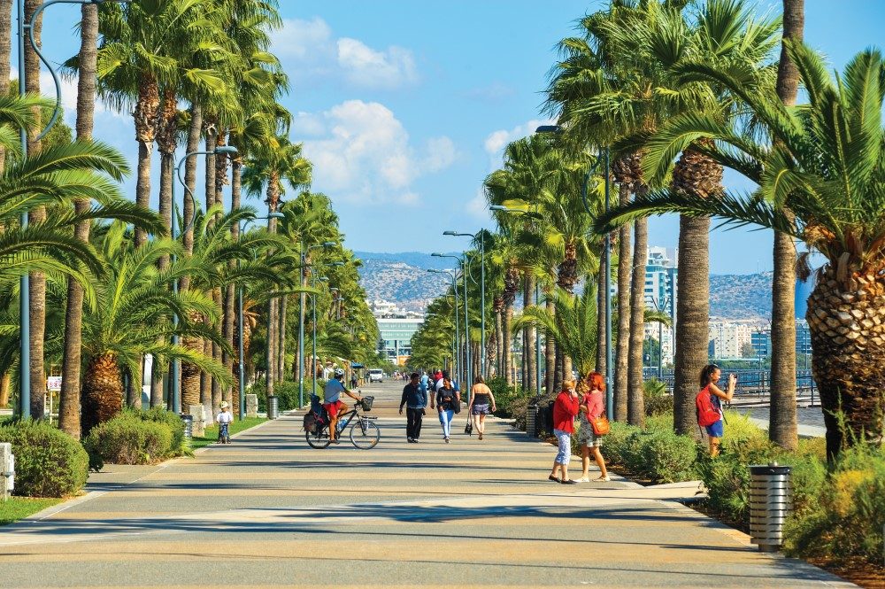 Shutterstock image - Pedestrian zone with palms